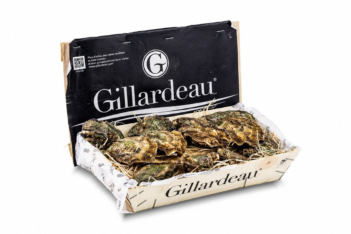 HUITRE | GILLARDEAU | N3 | 96PCS