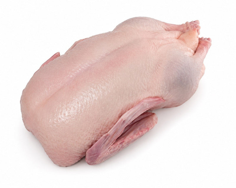 OIE PAC 3.5 KG