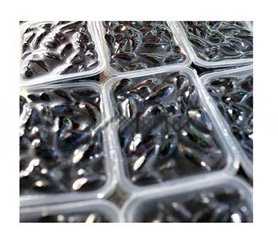 MOULE BIO | 2KG | BQ