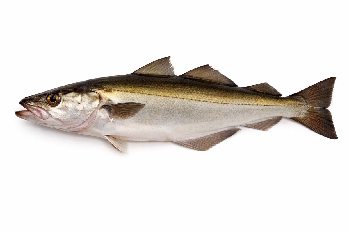 LIEU JAUNE IMPORT FILET