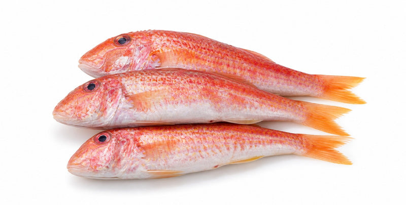 ROUGET BARBET -100GR