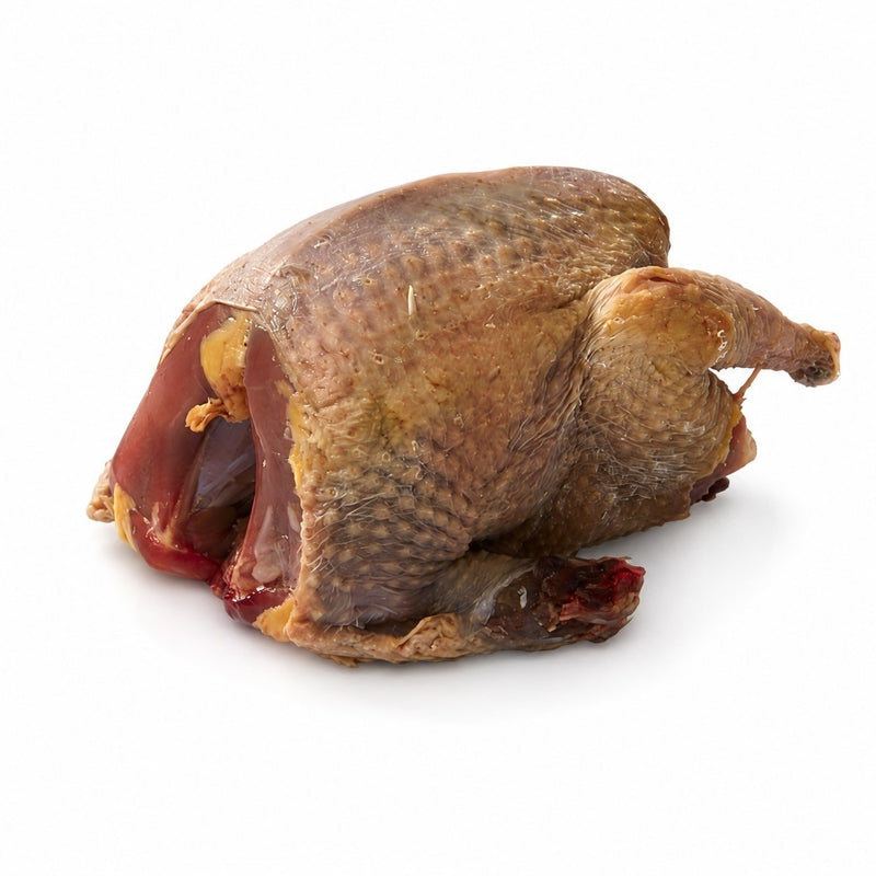 PIGEONNEAU ENTIER – PRÊT À CUIRE (PAC)