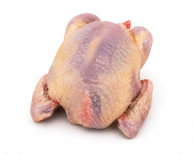 PIGEONNEAU 340/380GR PAC NU