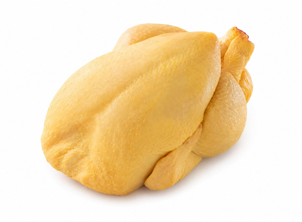 POULET ENTIER – FERMIER MAINE JAUNE – 1,5–1,7KG – PRÊT À CU