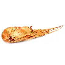 LANGOUSTE ORIGINE NICARAGUA CALIBRE 800/1200G